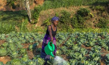 Rwanda farming