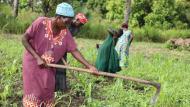 Program participants farming in South Sudan. Photo: Edward Malish