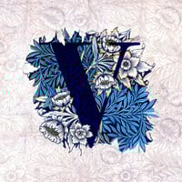 VISITANTS cover